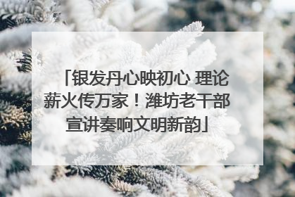 银发丹心映初心 理论薪火传万家！潍坊老干部宣讲奏响文明新韵